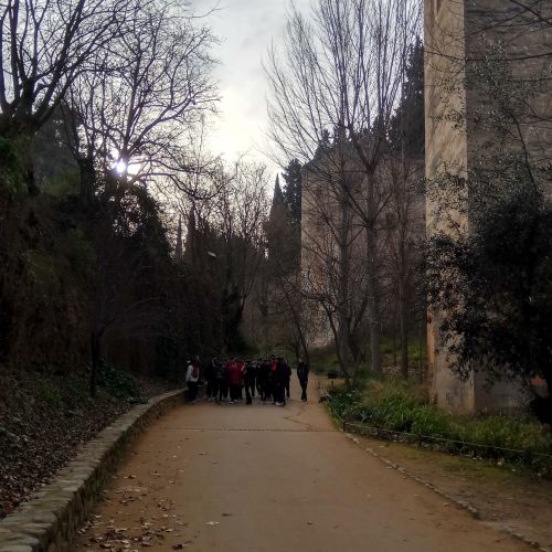Visita Alhambra  (3ºESO)